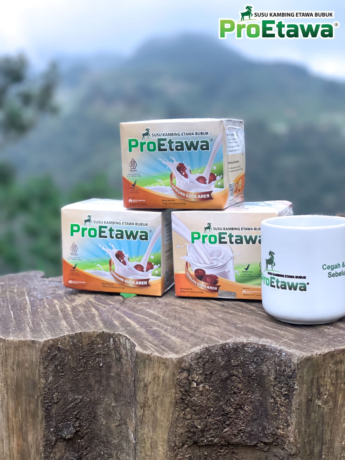 ProEtawa Official